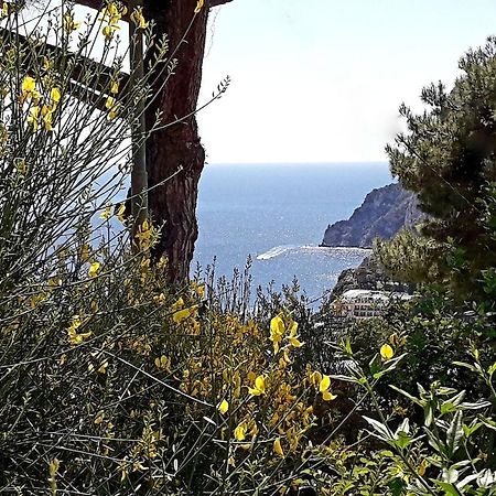 Villetta Rosetta Capri Exterior photo