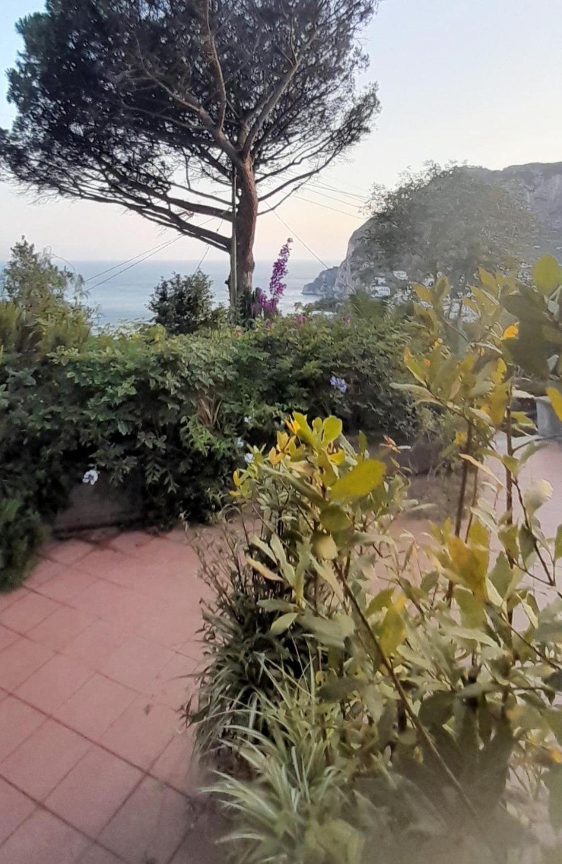Villetta Rosetta Capri Exterior photo