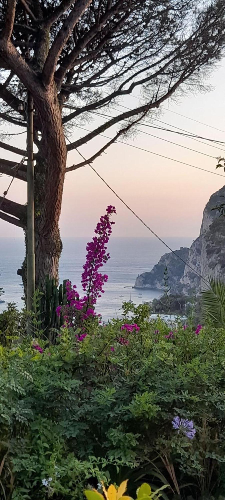 Villetta Rosetta Capri Exterior photo