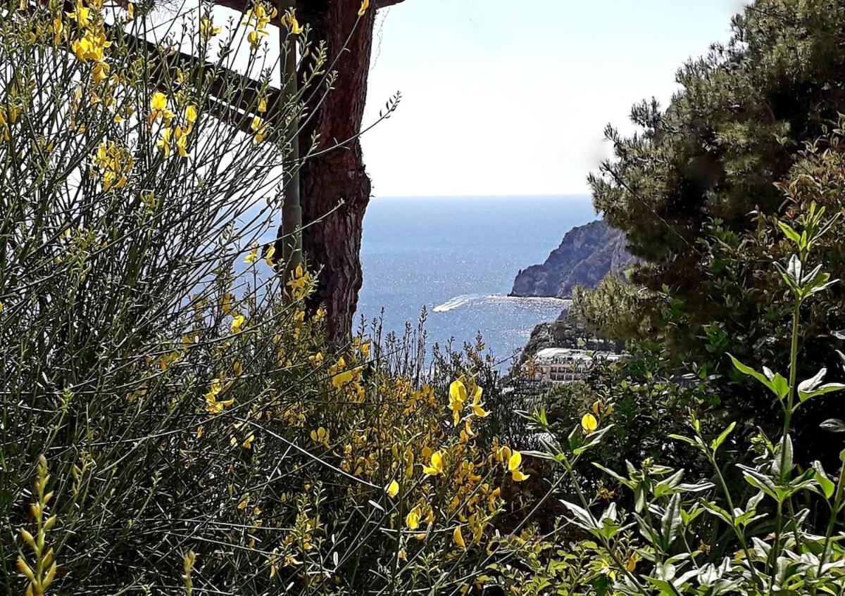 Villetta Rosetta Capri Exterior photo