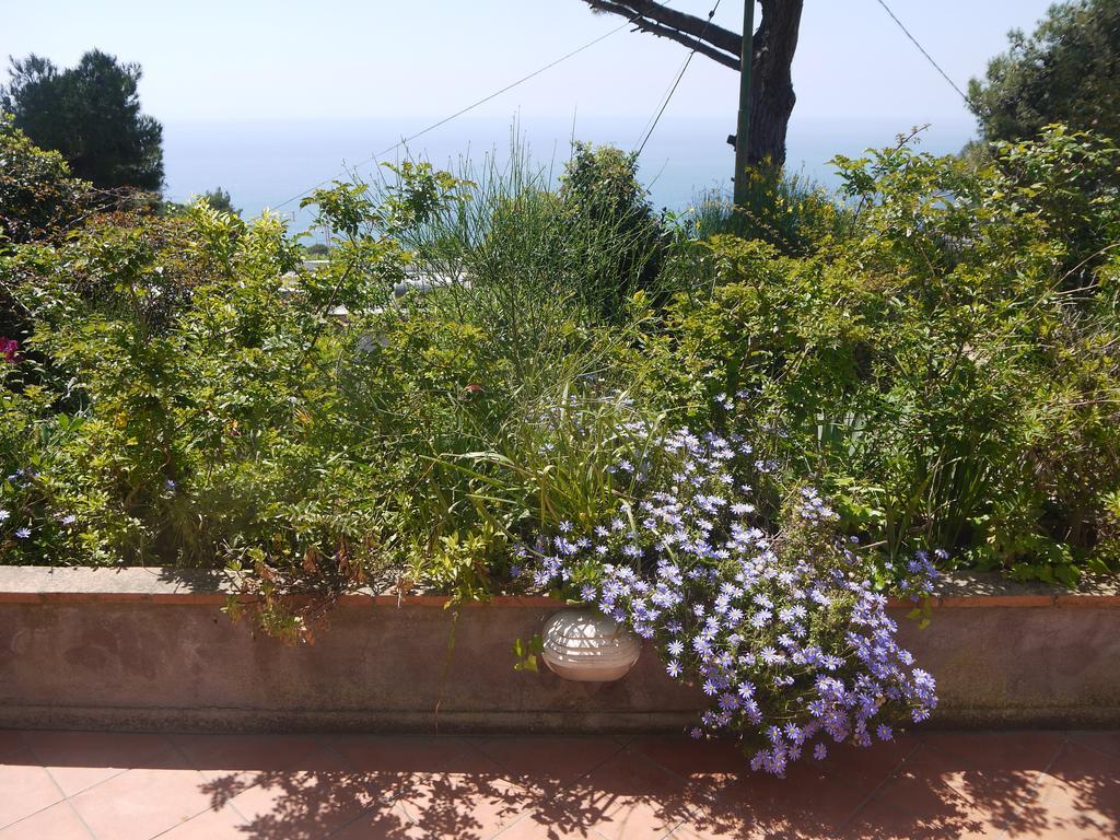 Villetta Rosetta Capri Exterior photo